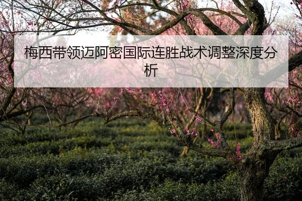 梅西带领迈阿密国际连胜战术调整深度分析