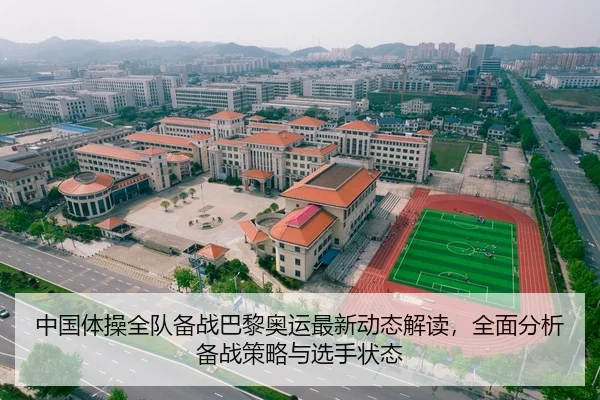 中国体操全队备战巴黎奥运最新动态解读，全面分析备战策略与选手状态