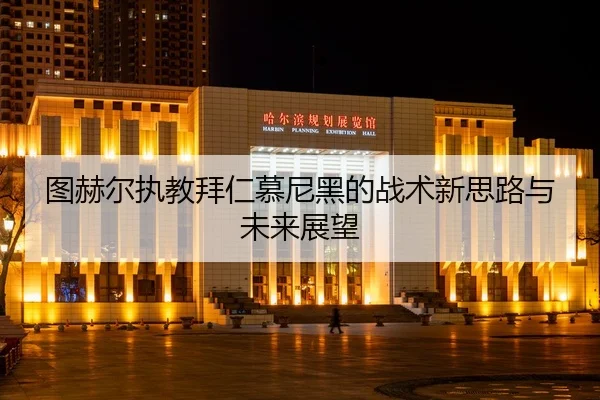 tu-he-er-zhi-jiao-bai-ren-mu-ni-hei-de-zhan-shu-xin-si-lu-yu-wei-lai-zhan-wang-2-468.jpg